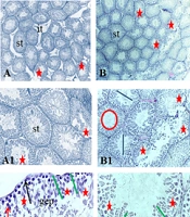 Gene Cell Tissue